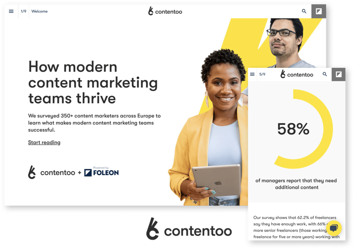 contentoo-interactive-report-example